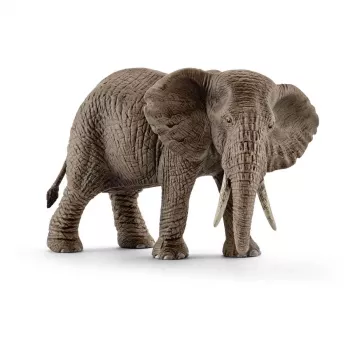 schleich WILD LIFE African elephant, female, 3 yr(s), Safari, Wild animals / adventure toys, Multicolour, Plastic, 1 pc(s)
