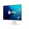 Computer monitor EIZO FlexScan EV2400R-WT — 23.8 inch (60.5 cm) Full HD IPS, 1920×1080, 5 ms, USB hub, speakers, height adjustable, VESA, white