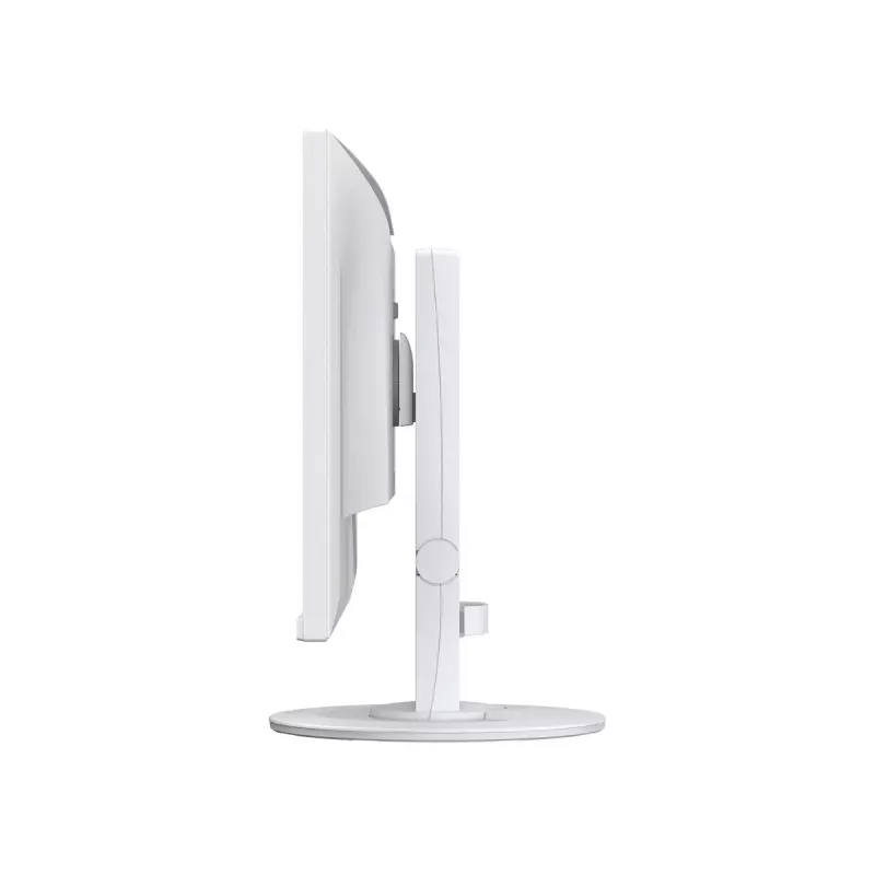Computer monitor EIZO FlexScan EV2400R-WT — 23.8 inch (60.5 cm) Full HD IPS, 1920×1080, 5 ms, USB hub, speakers, height adjustable, VESA, white