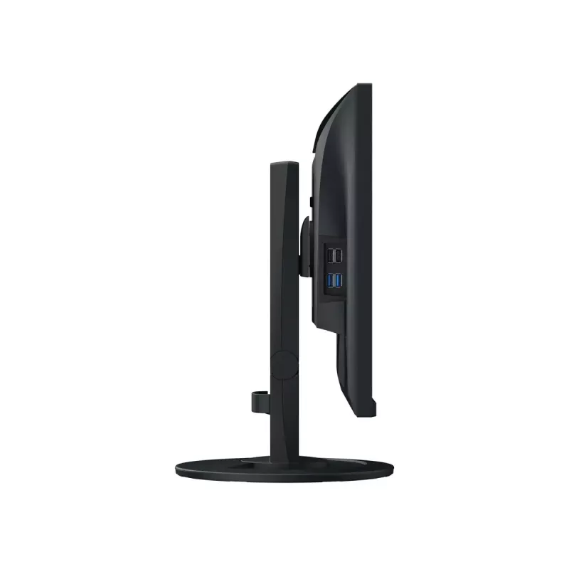 Computer monitor EIZO FlexScan EV2400R-BK 23.8 inch (60.5 cm) Full HD 1920x1080 IPS LCD, 5 ms, USB hub, speakers, VESA, height adjustable, black