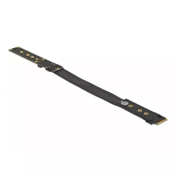 Riser Card M.2 Key M DeLOCK 64136