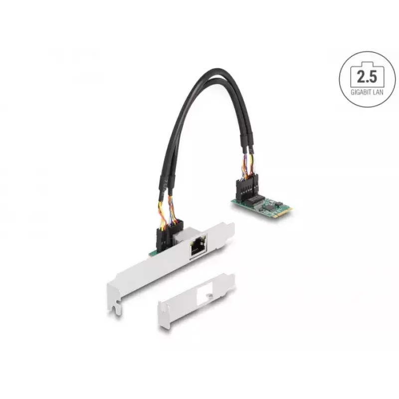 DeLOCK 95272 Internal Network Card 2500 Mbit/s Wired M.2 Ethernet
