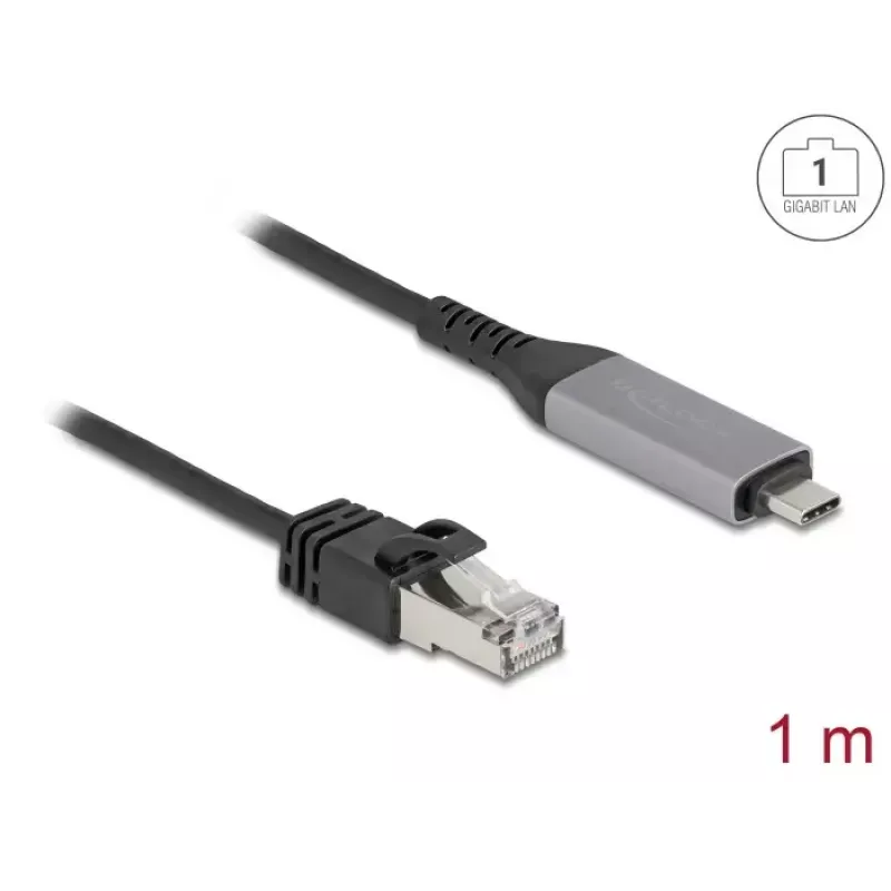 USB Type-C to RJ45 Gigabit Ethernet Cable DELOCK 1 m Cat6 Anthracite/Black