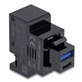DELOCK Keystone module 41482 with USB-C and USB-A connectors, flat, black