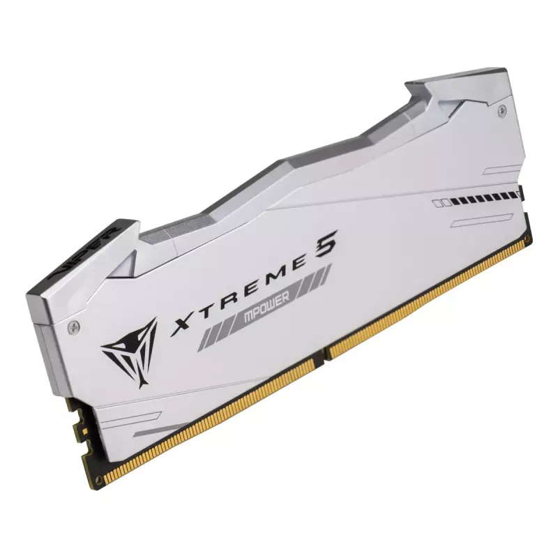 Patriot Viper Gaming RGB XTREME 5 DDR5-6000 RAM, CL 30, Intel XMP 3.0 - 48GB Dual-Kit, silber