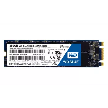 SSD disk Western Digital 250GB 2.5 inch SATA3 WDS250G1B0B