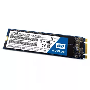 SSD disk Western Digital 250GB 2.5 inch SATA3 WDS250G1B0B