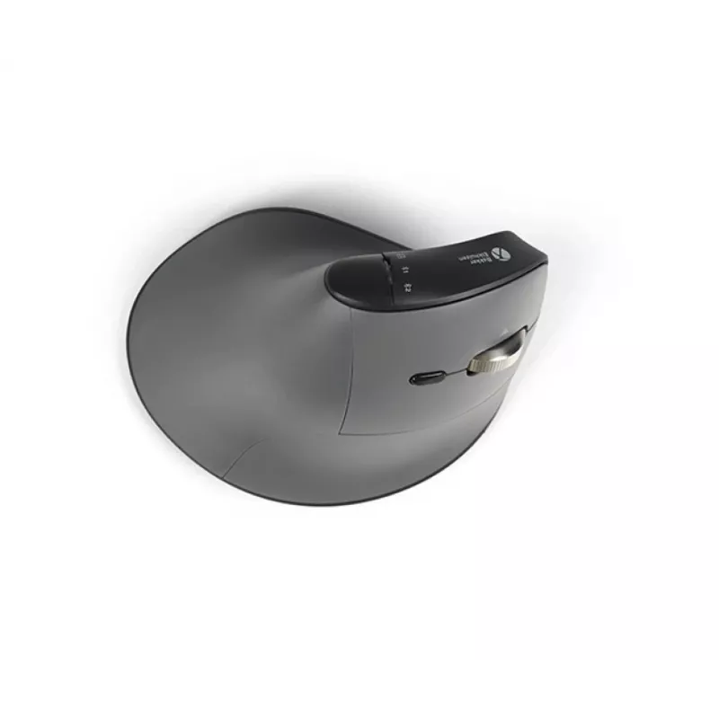 BakkerElkhuizen FastForward Pro mouse, Right-hand, Vertical design, Optical, RF Wireless + Bluetooth + USB Type-C, 5000 DPI, Black, Grey