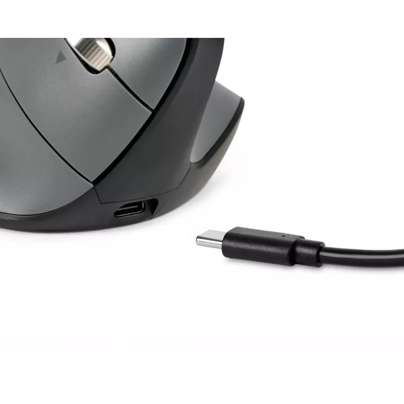 BakkerElkhuizen FastForward Pro mouse, Right-hand, Vertical design, Optical, RF Wireless + Bluetooth + USB Type-C, 5000 DPI, Black, Grey