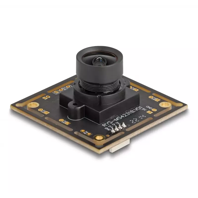 Webcam DeLOCK 12064 2.1 MP 1920 x 1080 USB 2.0 Black
