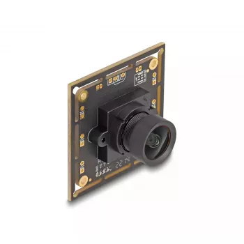 Webcam DeLOCK 12064 2.1 MP 1920 x 1080 USB 2.0 Black