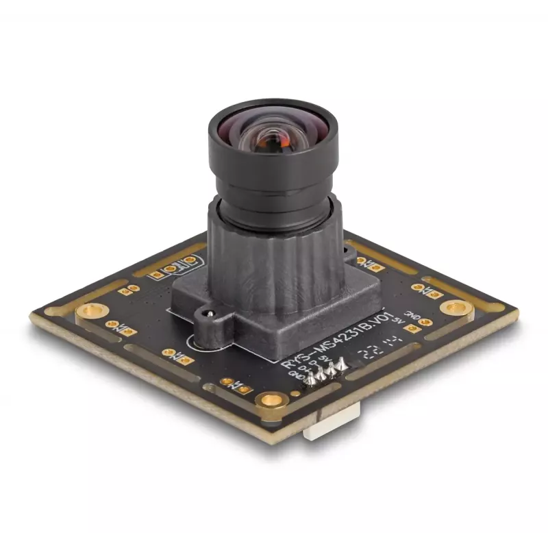Webcam DeLOCK 12069 2.1 MP 1920 x 1080 pixels USB 2.0 Black