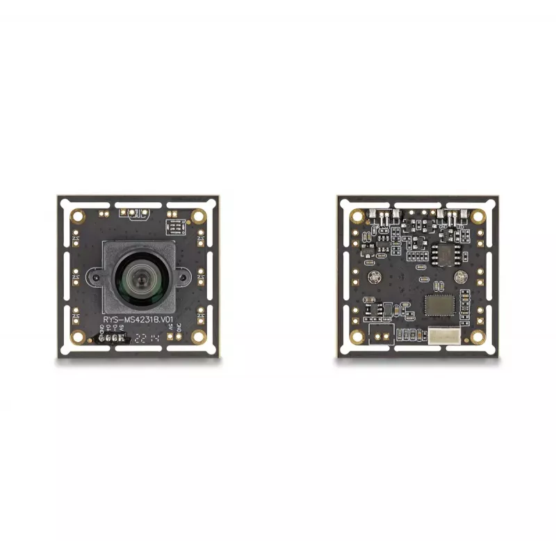 Webcam DeLOCK 12069 2.1 MP 1920 x 1080 pixels USB 2.0 Black