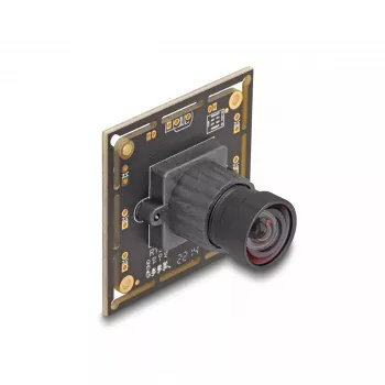 Webcam DeLOCK 12069 2.1 MP 1920 x 1080 pixels USB 2.0 Black
