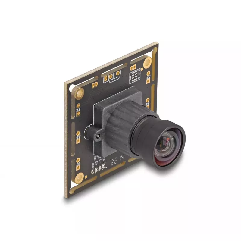 Webcam DeLOCK 12069 2.1 MP 1920 x 1080 pixels USB 2.0 Black