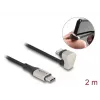 Data and charging cable DeLOCK USB Type-C to Lightning 180° angled 2m MFi