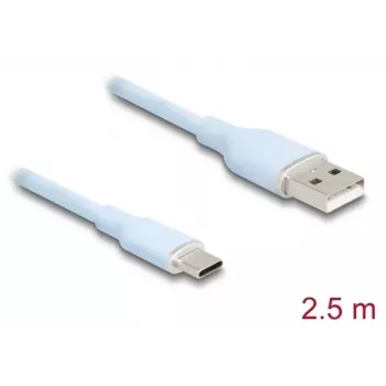 DeLOCK USB Cable USB 2.0 2.5m USB A USB C Blue