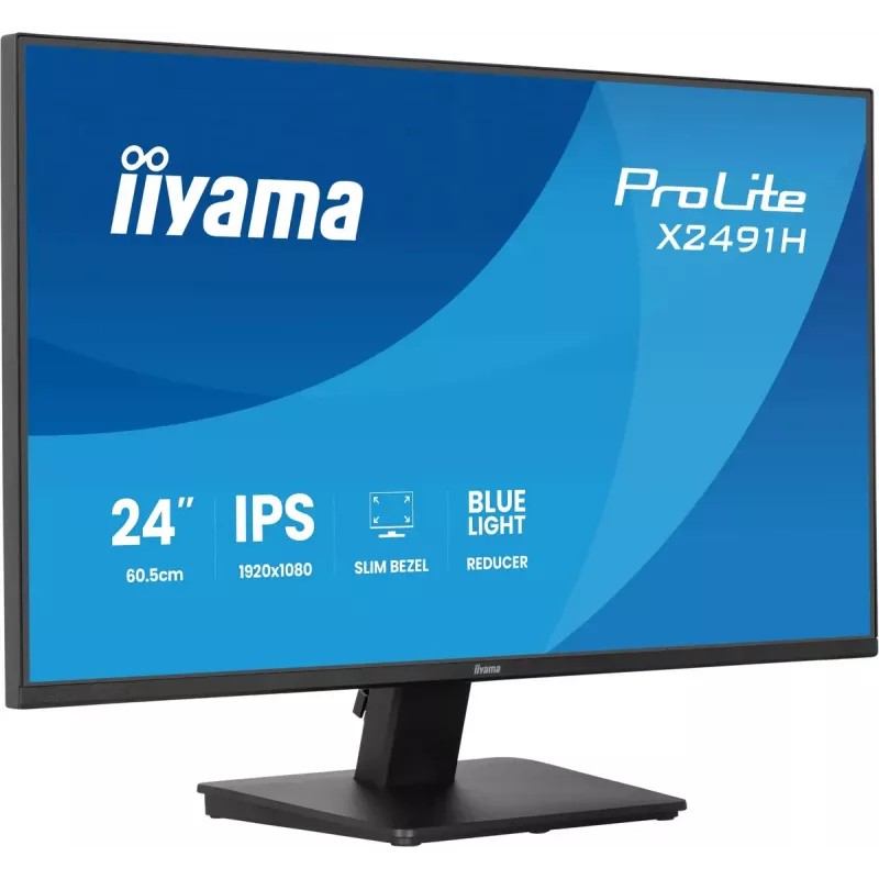Computer monitor IIYAMA ProLite X2491H-B1 23.8 inch (60.5 cm) IPS LCD Full HD 1920×1080 Matt Black, VESA