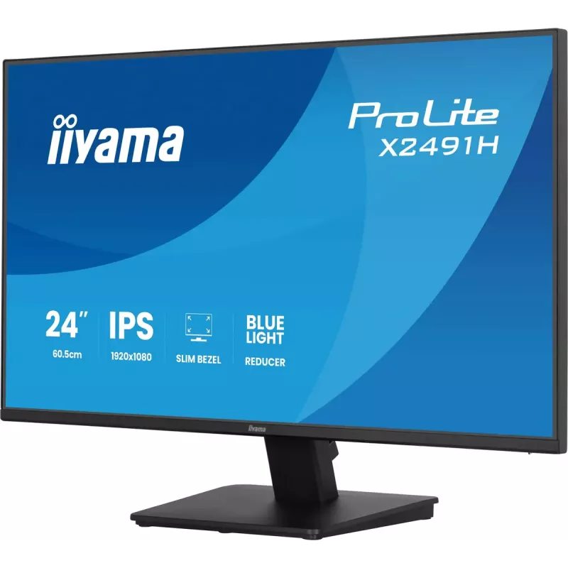 Computer monitor IIYAMA ProLite X2491H-B1 23.8 inch (60.5 cm) IPS LCD Full HD 1920×1080 Matt Black, VESA