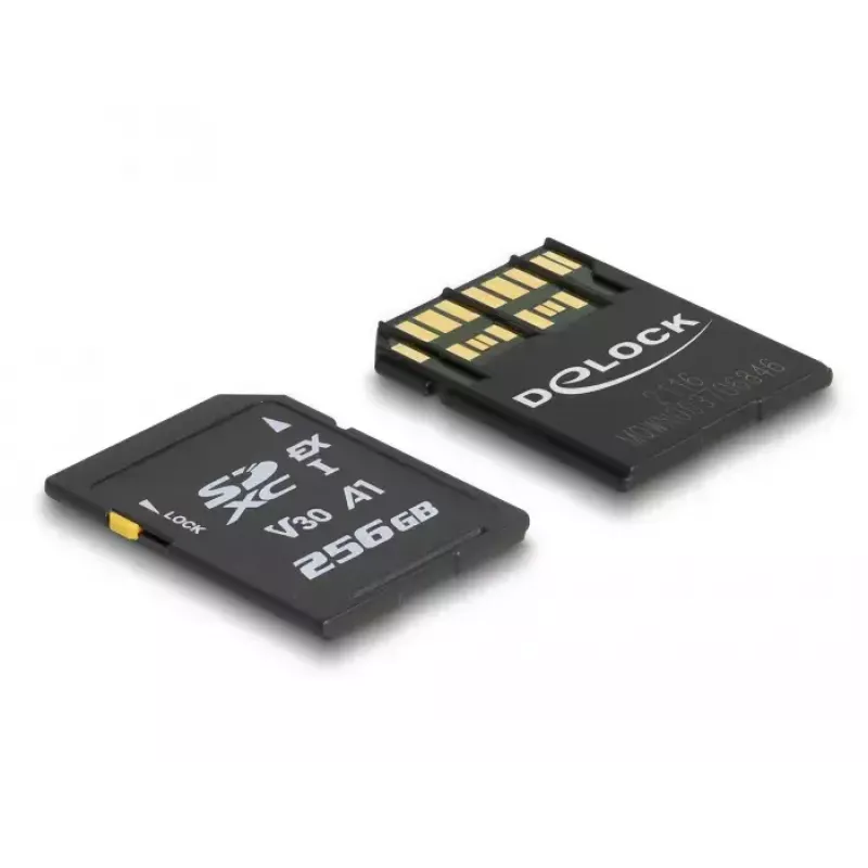 Memory Card DeLOCK 256GB SD UHS-I 54091