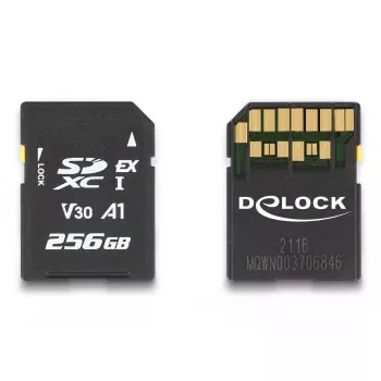 Memory Card DeLOCK 256GB SD UHS-I 54091