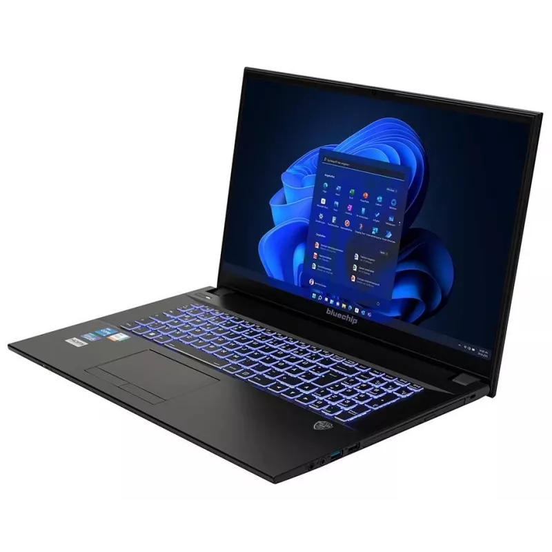 bluechip TRAVELline B17W27 Intel® Core™ i5-1335U Prozessor / bis zu 4.60 GHz, Windows 11 Pro, 17,3 inch non-glare IPS Panel, 1920 x 1080, 16 GB DDR4, 500 GB NVMe SSD, WLAN 802.11 ax, Bluetooth 5.3, Gigabit Ethernet, Intel® Iris® Xe Grafik, DVD±RW, Militärstandard MIL-STD 810G