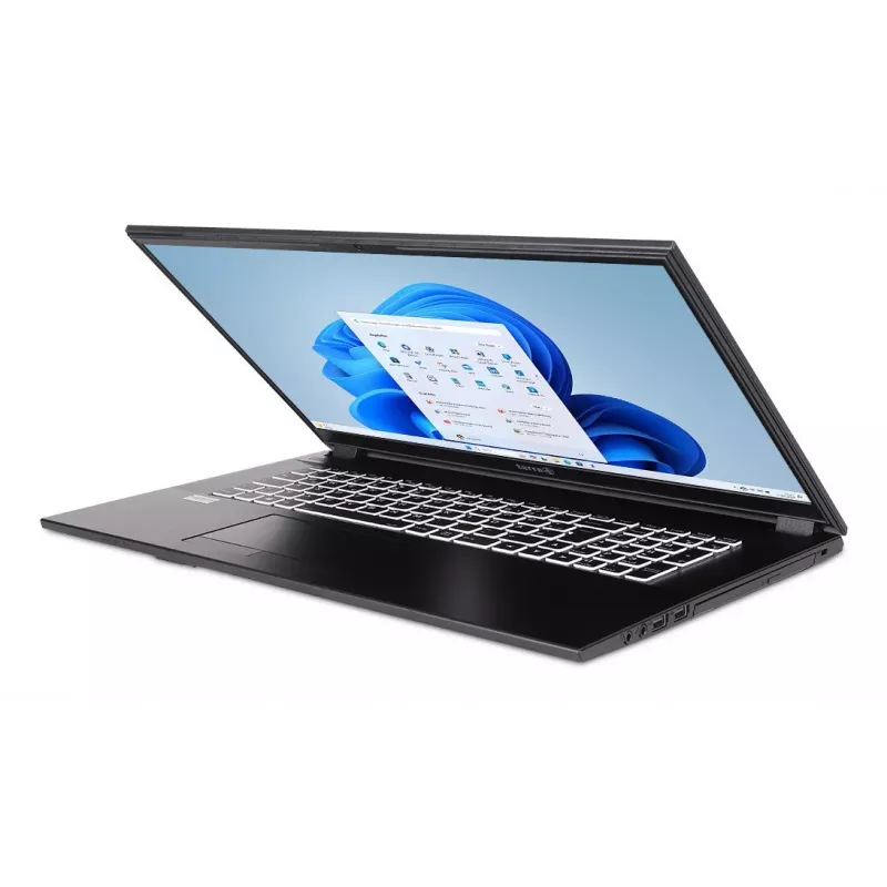 TERRA 1220855 laptop Intel® Core™ i5 i5-1334U 43.9 cm (17.3 inch) Full HD 16 GB DDR4-SDRAM 500 GB SSD Wi-Fi 6 (802.11ax) Windows 11 Home German Grey