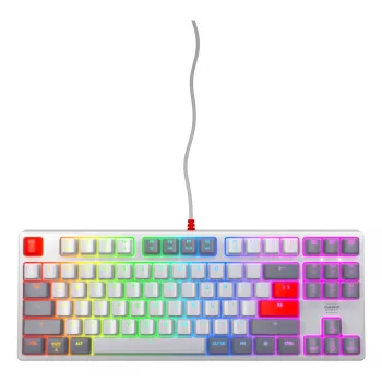 Mechanical gaming keyboard CHERRY K4V2 RGB Tenkeyless Wired USB 67 keys
