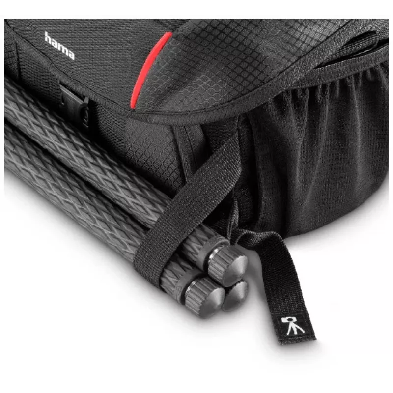 Hama Phoenix Compact case Black