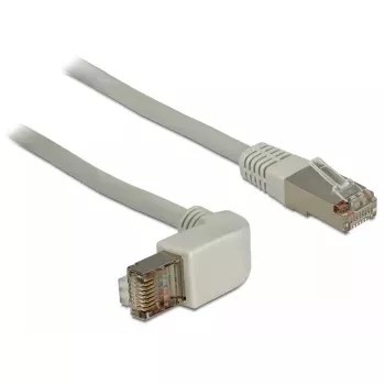 Networking Cable DeLOCK 1m RJ-45 Cat6a Grey