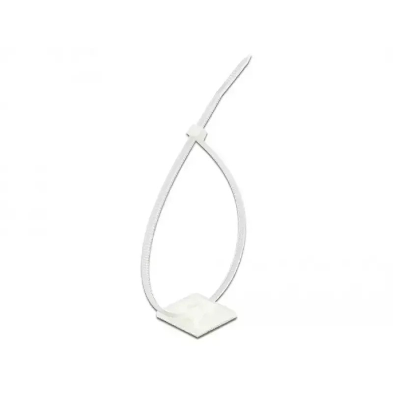 Cable Tie Mount DeLOCK 18834 White Nylon 10 pcs