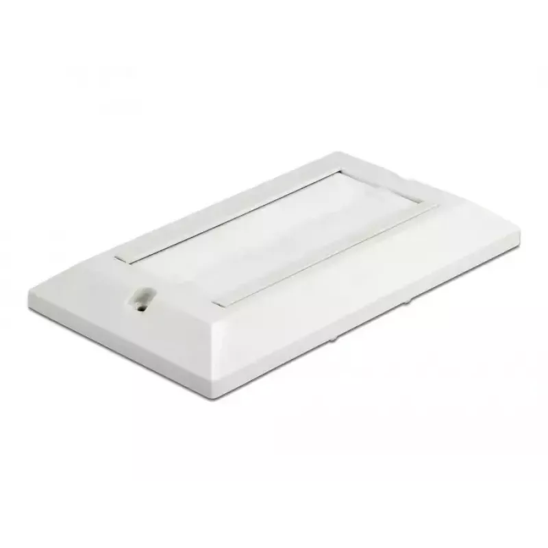 Wall plate DeLOCK 66496 White