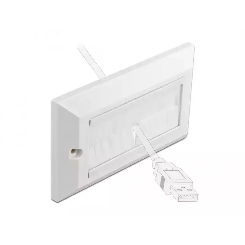 Wall plate DeLOCK 66496 White