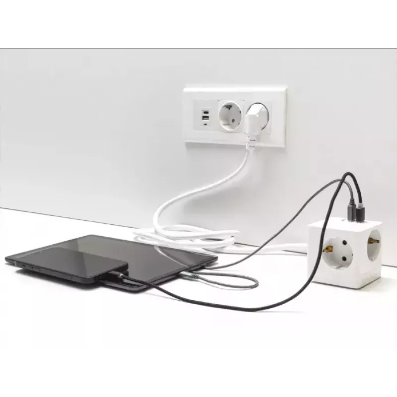 DeLOCK 11497 Socket-Outlet CEE 7/3 + USB White 250V 16A