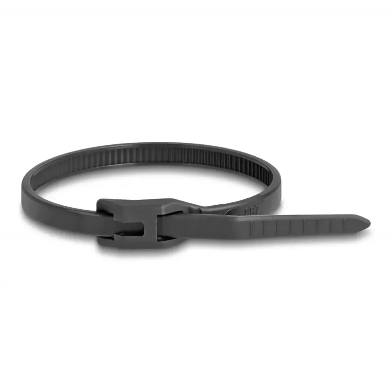 Cable Tie DeLOCK 19466 Polyamide Black 205mm 100pcs