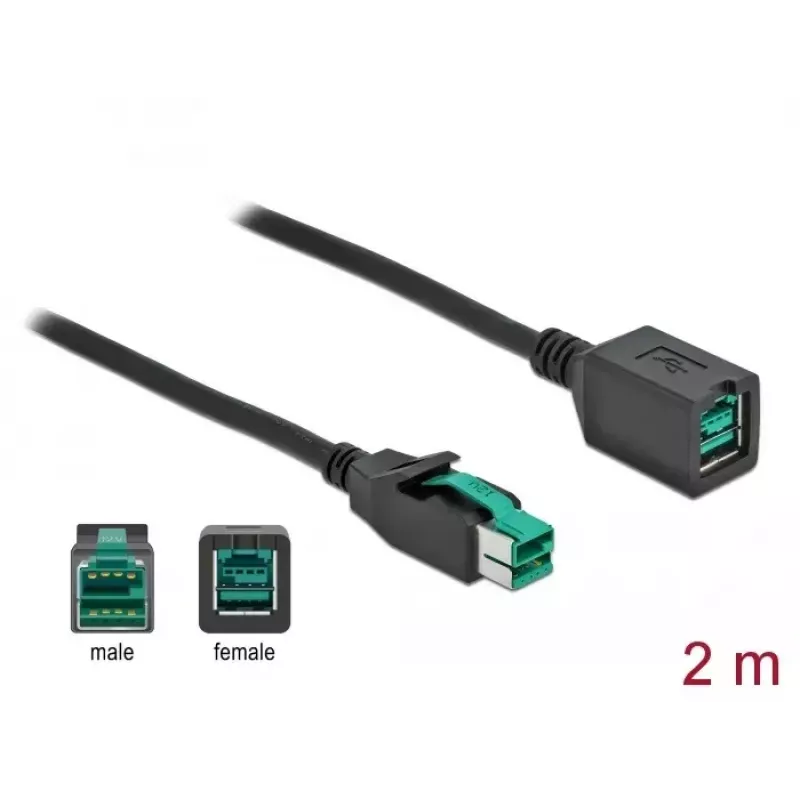 Powered USB extension cable DeLOCK 85981 12 V 2 m