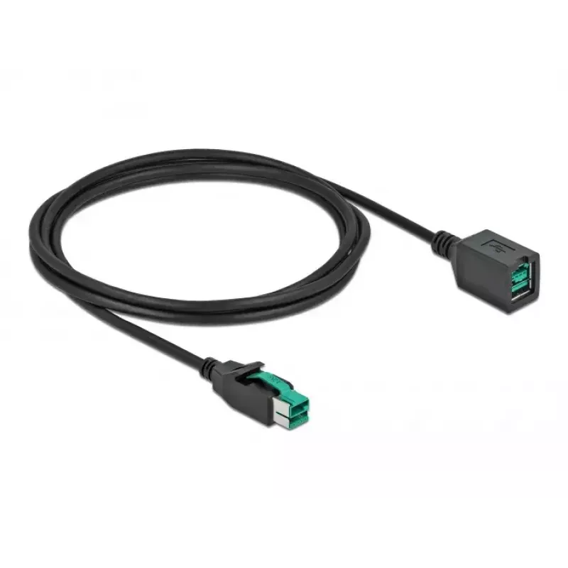 Powered USB extension cable DeLOCK 85981 12 V 2 m