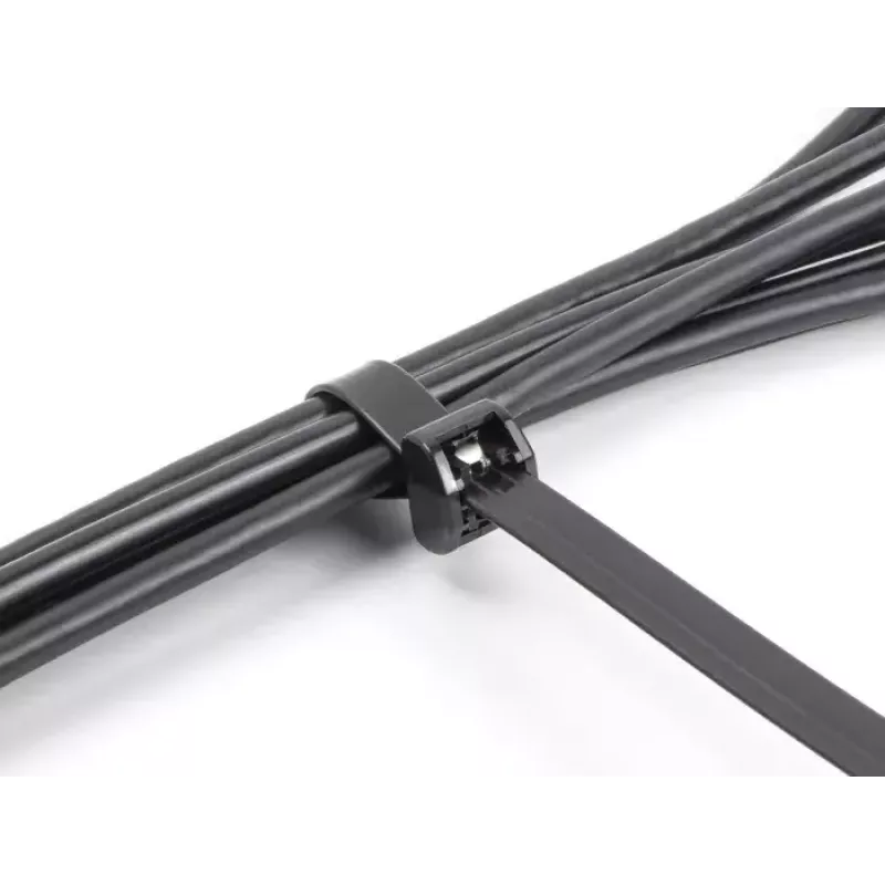 DeLOCK Cable Ties with Metal Tongue, 203 x 12.7 mm, Black, 10 pcs