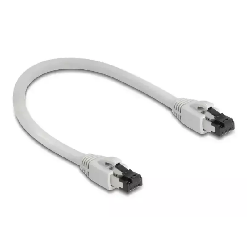 Networking Cable DeLOCK 80556 RJ-45 Cat8.1 0.25m Grey