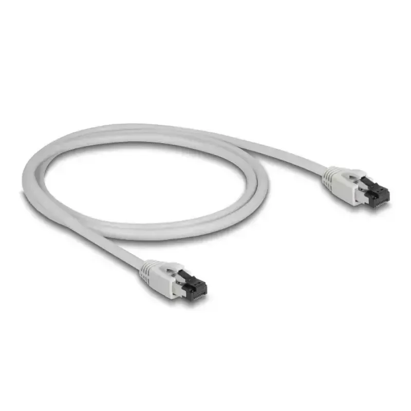 Networking Cable DeLOCK 80558 RJ-45 Cat8.1 1 m Grey