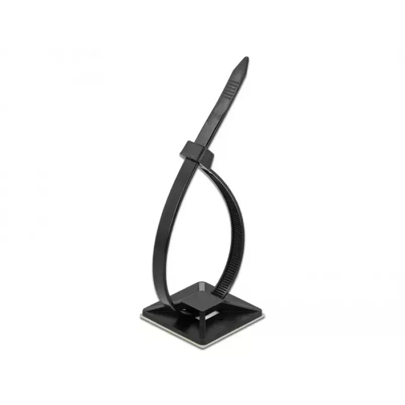 Cable Tie Mount DeLOCK 18675 Black Nylon 10 pcs