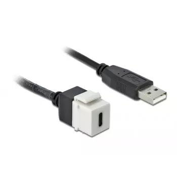 Keystone Module DeLOCK 86382 Flat Black White USB C