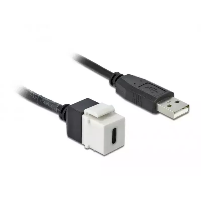 Keystone Module DeLOCK 86382 Flat Black White USB C