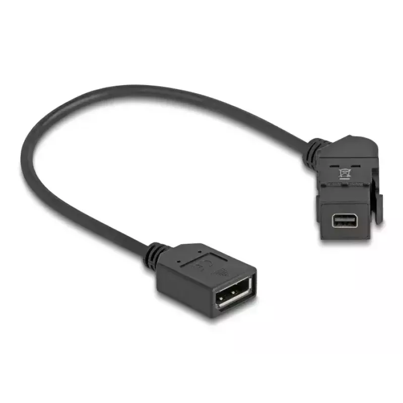 DeLOCK 67155 cable gender changer Mini DisplayPort DisplayPort Black 0.3m