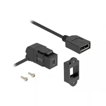 DeLOCK 67155 cable gender changer Mini DisplayPort DisplayPort Black 0.3m