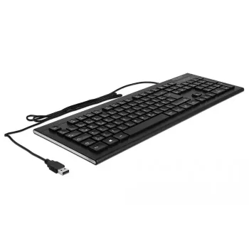 Keyboard DeLOCK 12672 Office USB QWERTZ German Black