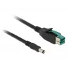 Power Cable DeLOCK 85497 1m PoweredUSB Black