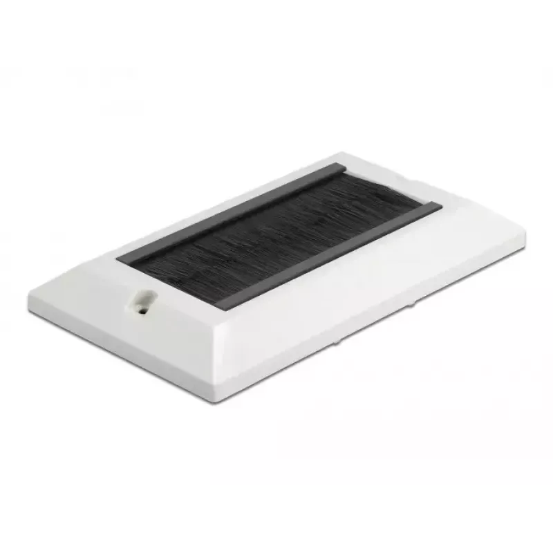 Wall Plate DeLOCK 66492 White
