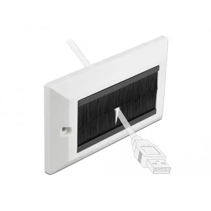 Wall Plate DeLOCK 66492 White
