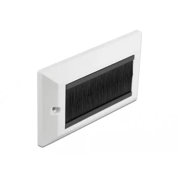 Wall Plate DeLOCK 66492 White